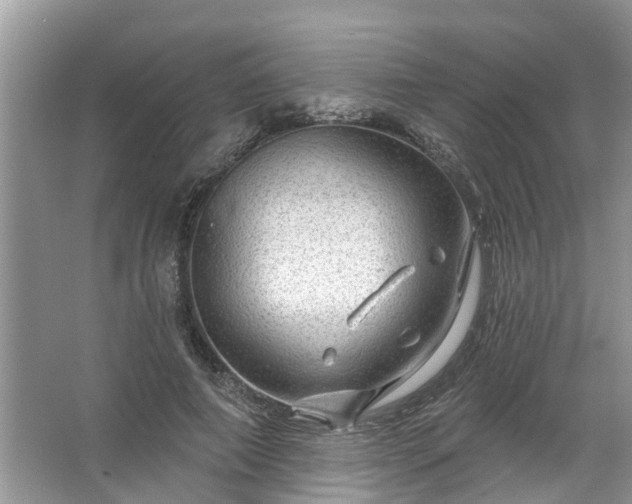 X0000067530690200604150226