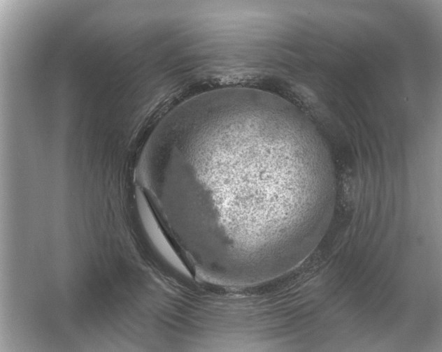 X0000067530691200604150226