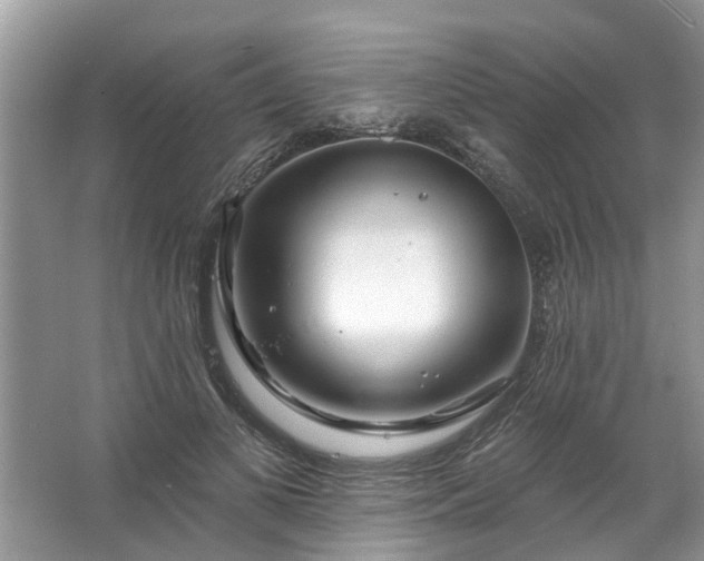 X0000067530693200604150226