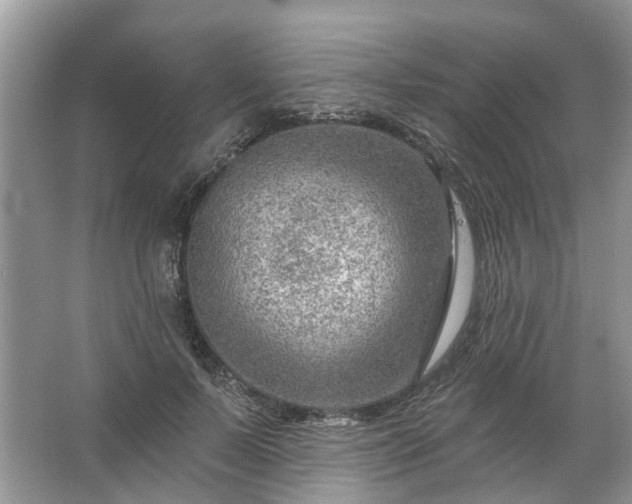 X0000067530695200604150226