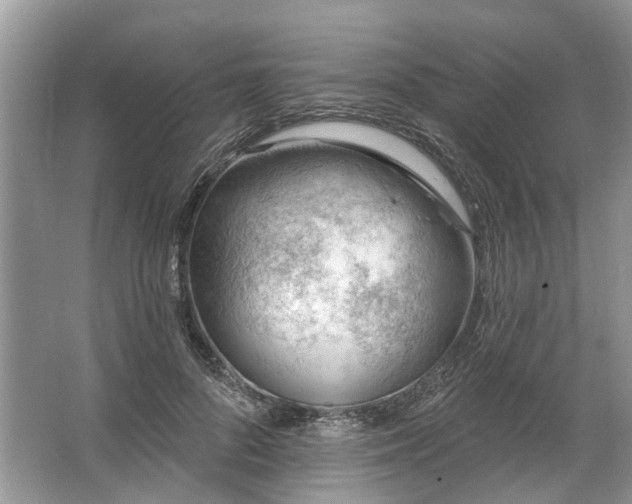 X0000067530696200604150226