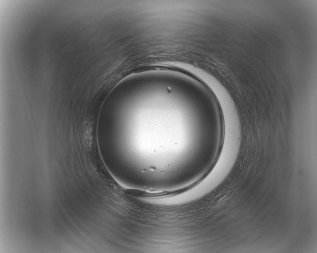 X0000067530697200604150226