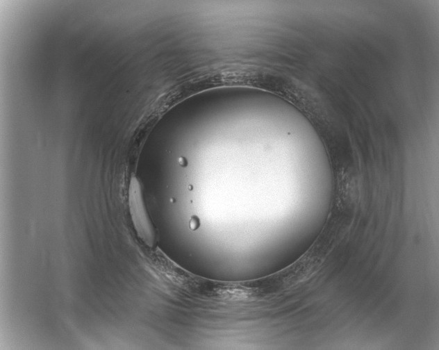 X0000067530698200604150226