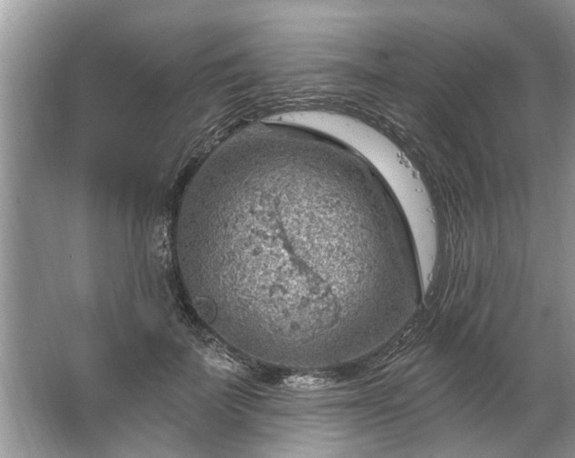 X0000067530699200604150226