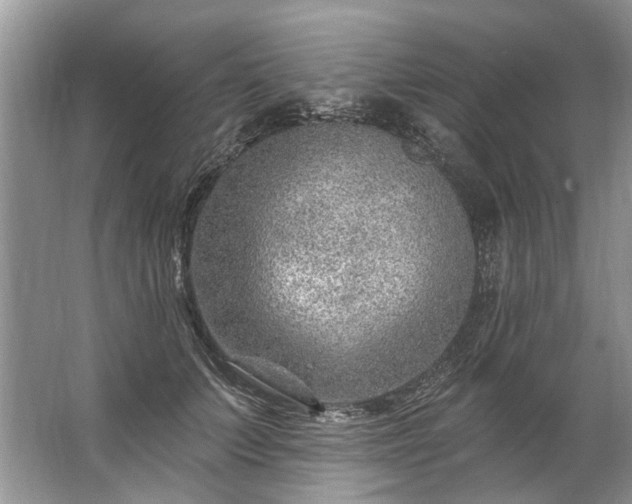 X0000067530703200604150226