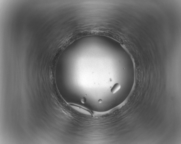 X0000067530704200604150226