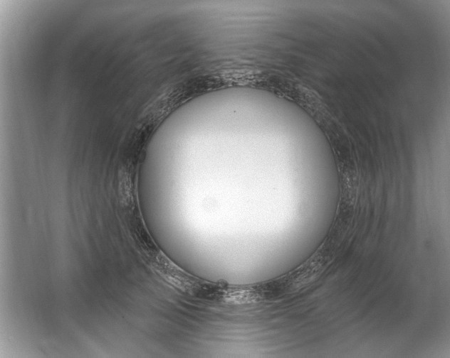 X0000067530705200604150226