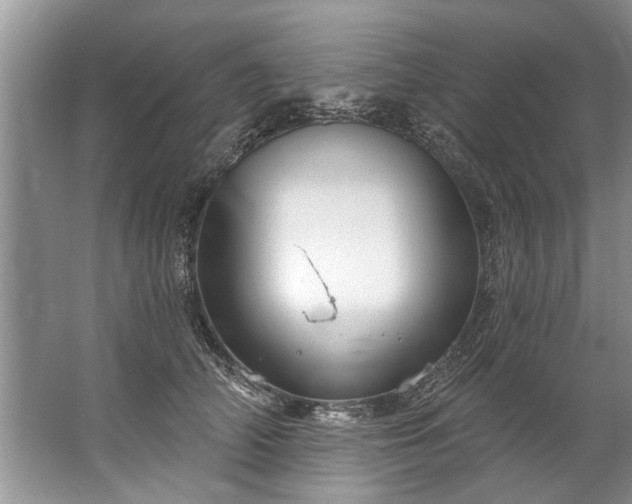 X0000067530706200604150226