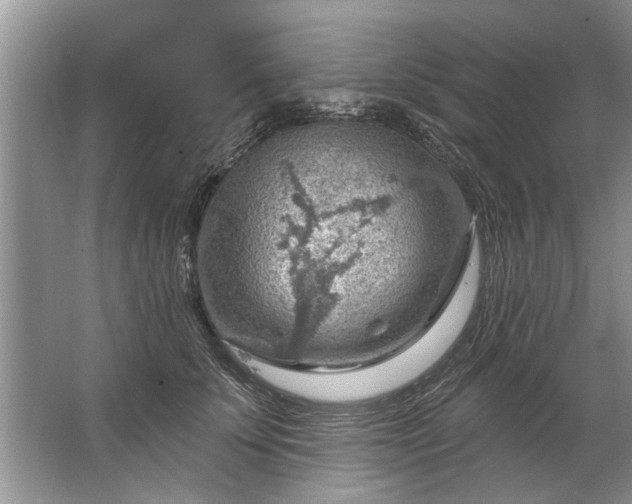 X0000067530707200604150226