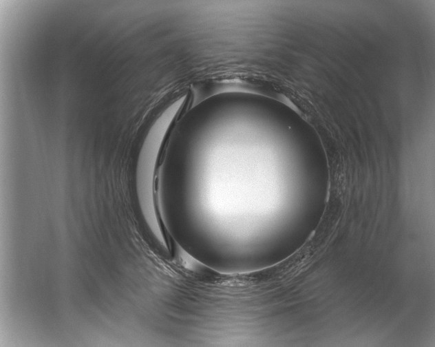 X0000067530708200604150226