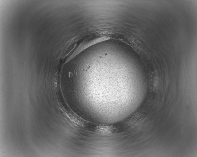 X0000067530710200604150226