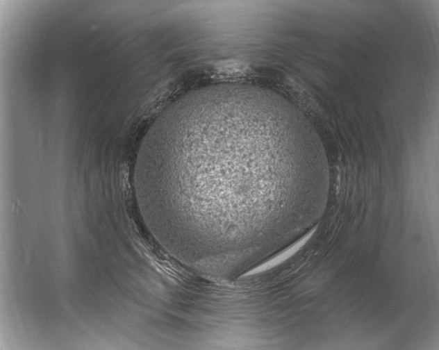 X0000067530711200604150225