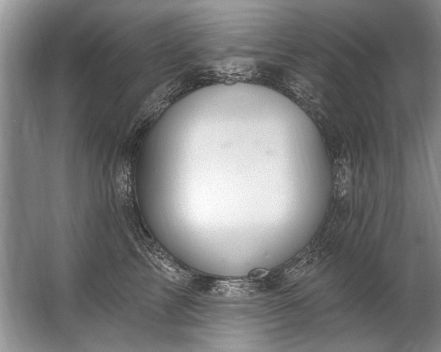 X0000067530713200604150225