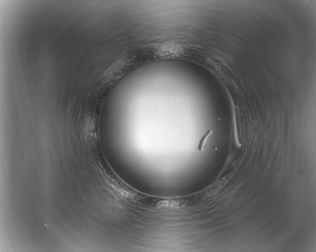 X0000067530714200604150225