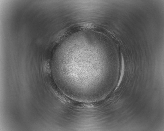 X0000067530715200604150225