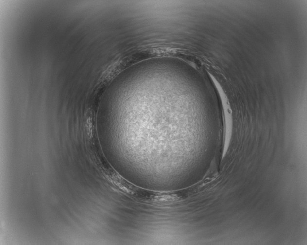 X0000067530716200604150225