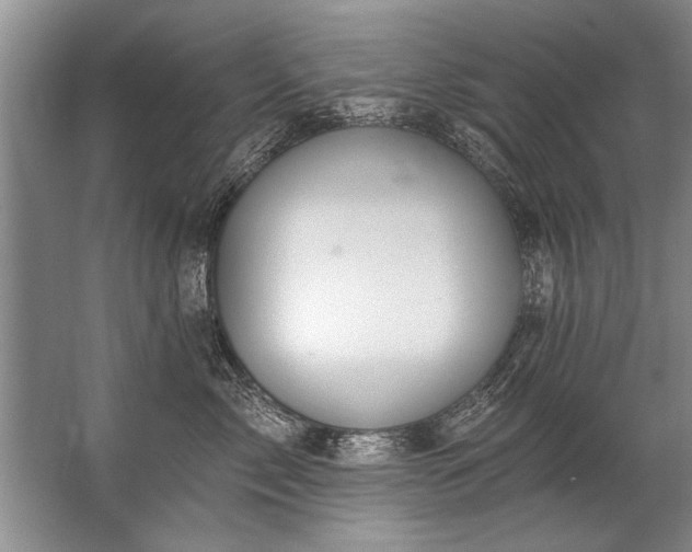 X0000067530717200604150225