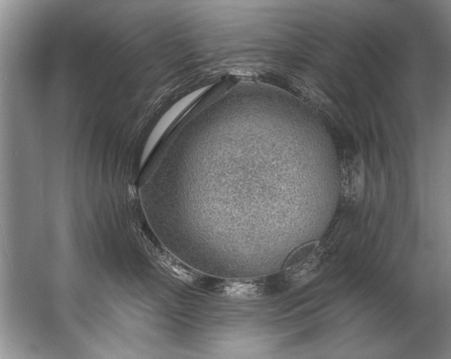 X0000067530718200604150225