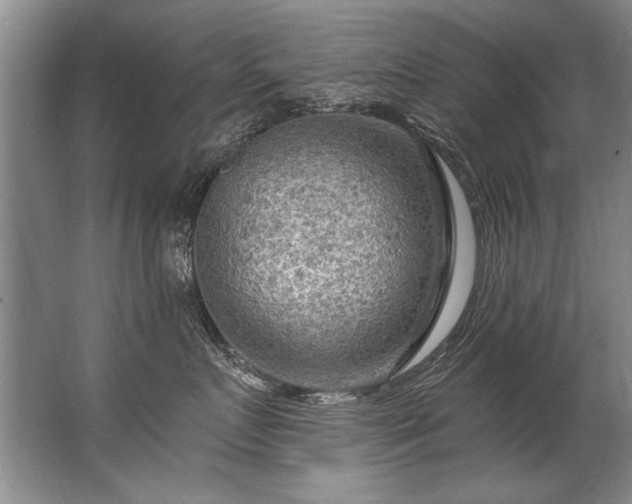 X0000067530719200604150225