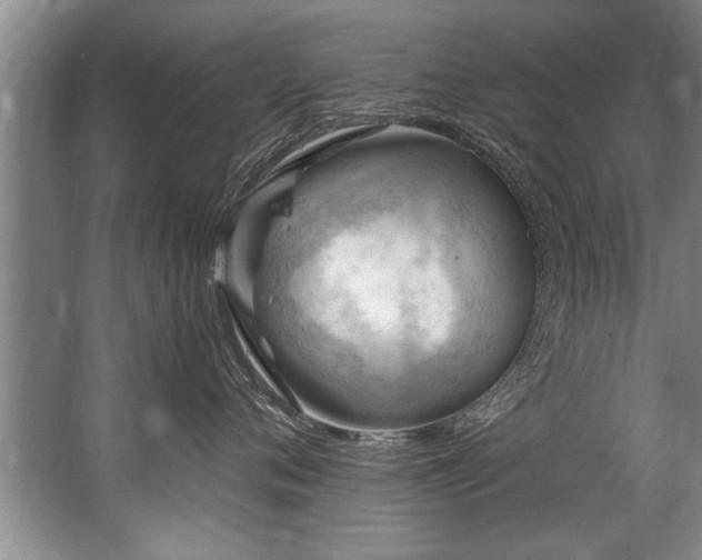 X0000067530720200604150225