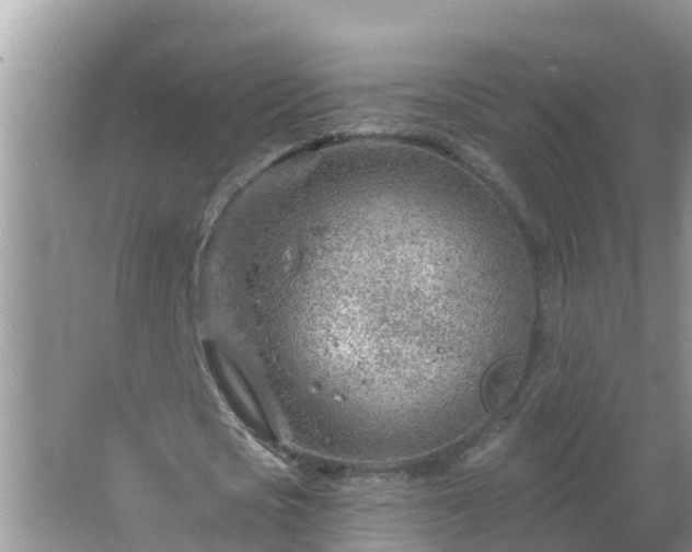 X0000067530721200604150225