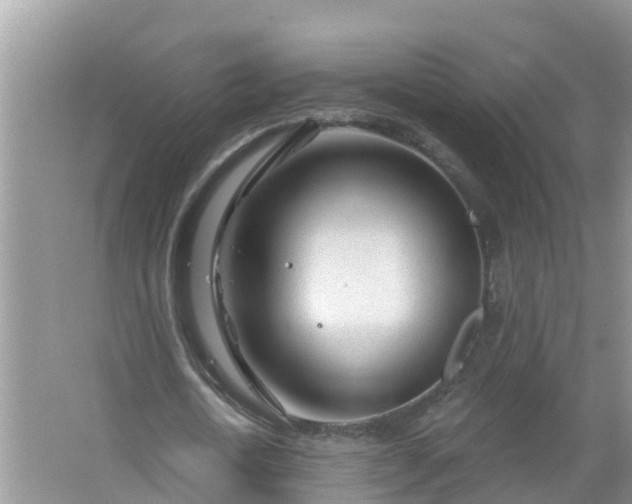 X0000067530722200604150225