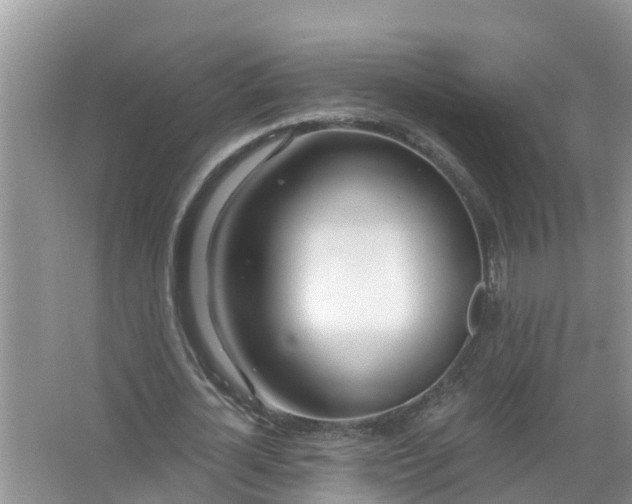 X0000067530724200604150225