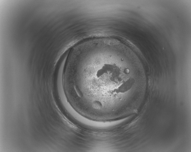 X0000067530725200604150225