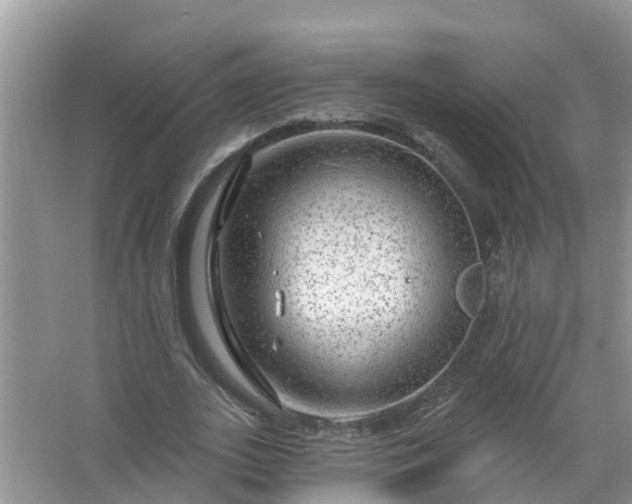 X0000067530727200604150225