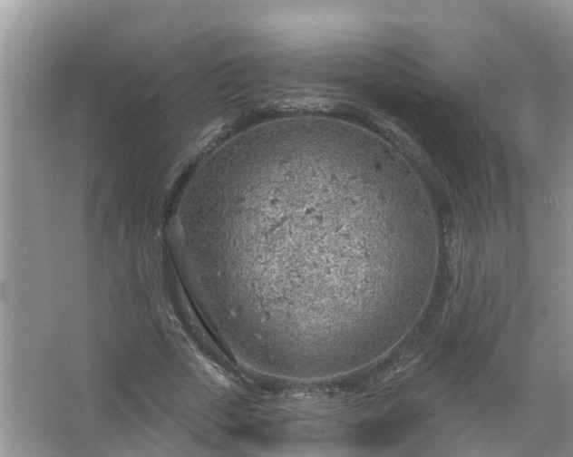 X0000067530729200604150225