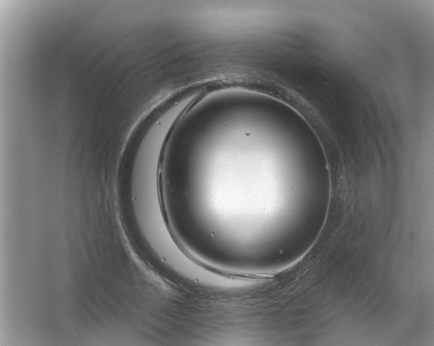 X0000067530730200604150225