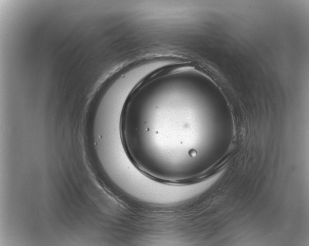 X0000067530732200604150225