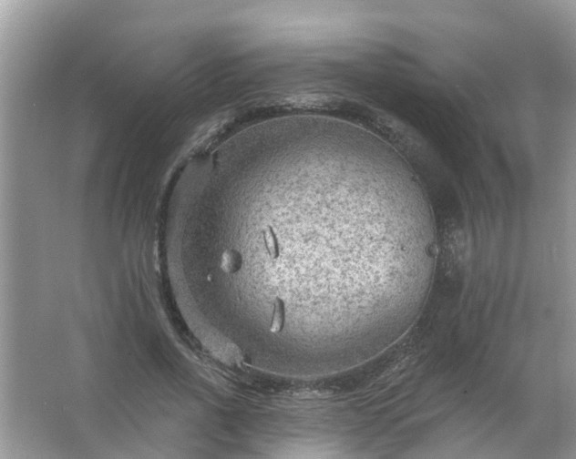 X0000067530734200604150225