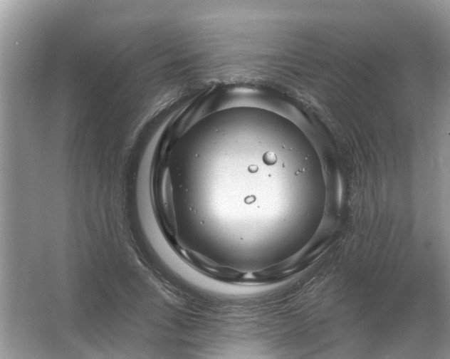 X0000067530735200604150225