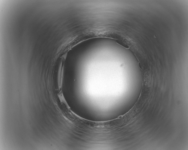 X0000067530740200604150225