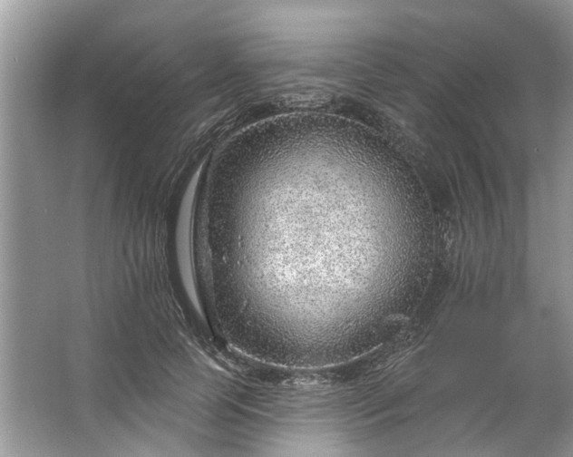 X0000067530745200604150225