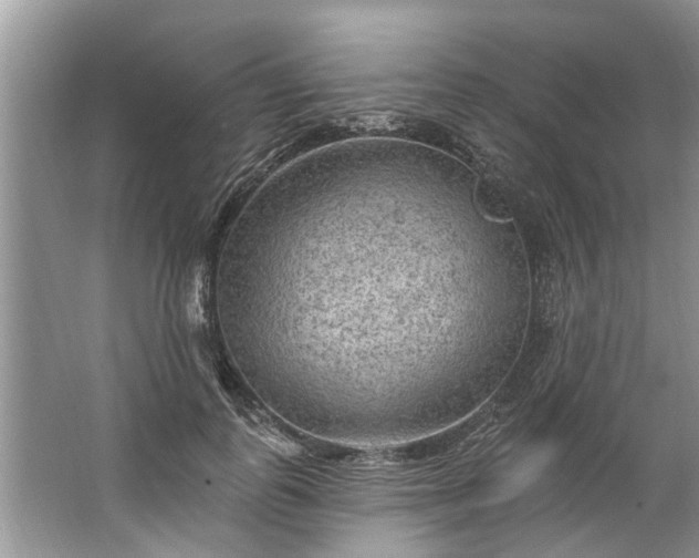 X0000067530747200604150225