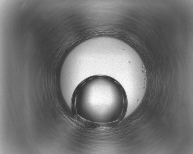 X0000067530748200604150225