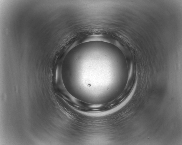 X0000067530750200604150225