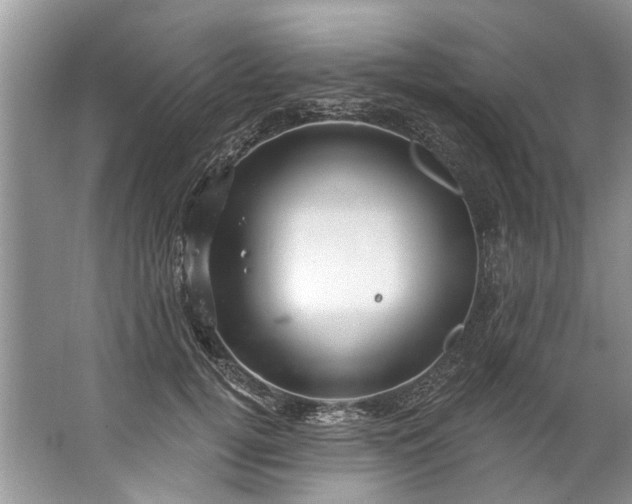 X0000067530752200604150225