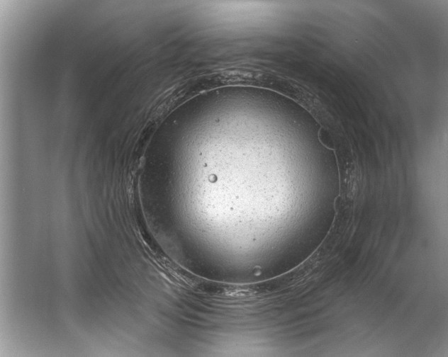 X0000067530753200604150225