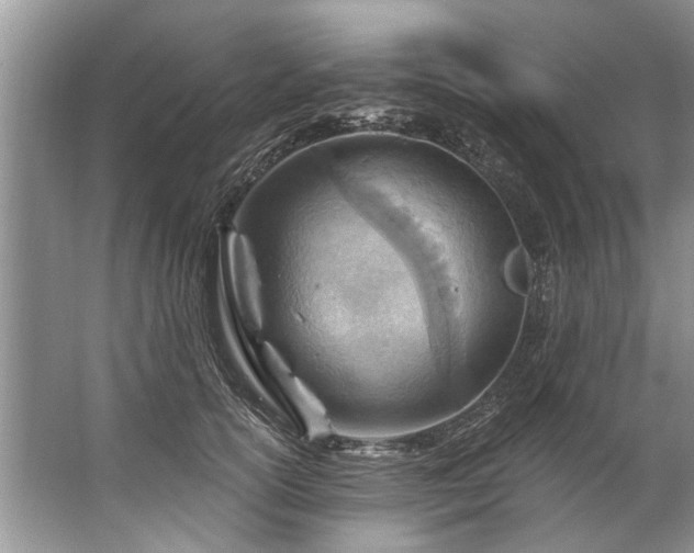 X0000067530754200604150225