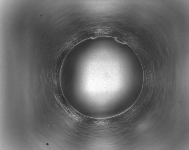 X0000067530755200604150225