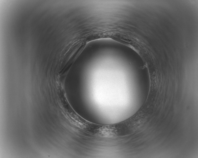 X0000067530756200604150225