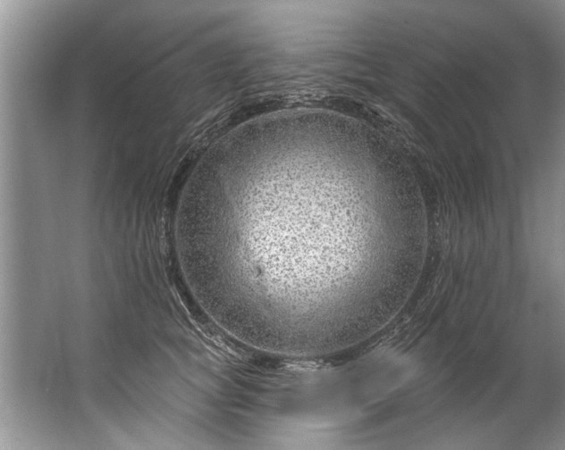 X0000067530757200604150225