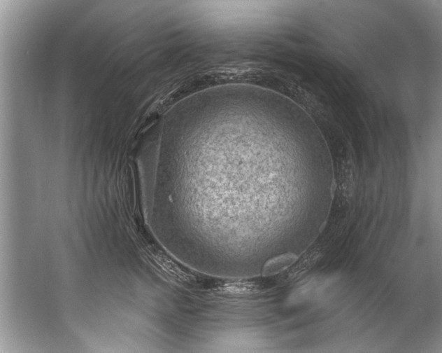 X0000067530758200604150225