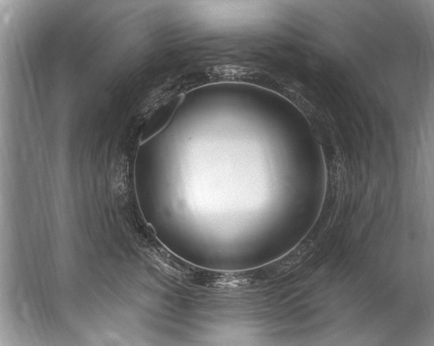 X0000067530760200604150225