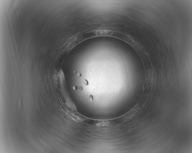 X0000067530761200604150225