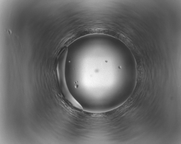 X0000067530762200604150225