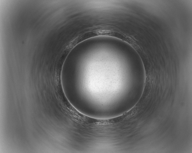 X0000067530763200604150225